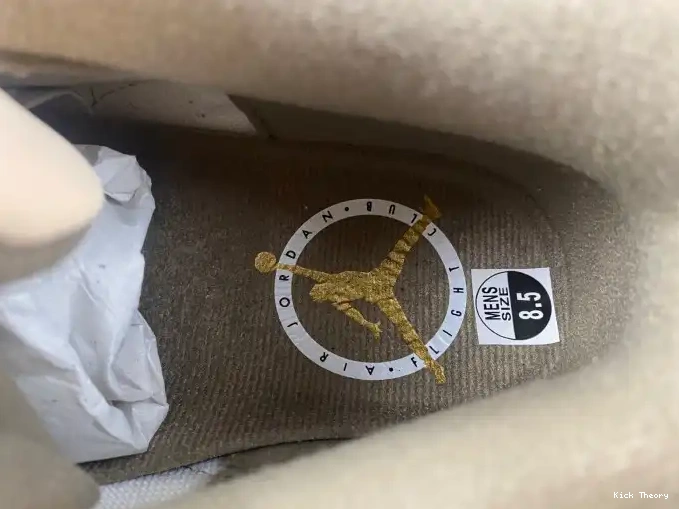 Kick Theory 3 Air CT8532-102 Palomino Jordan 0614